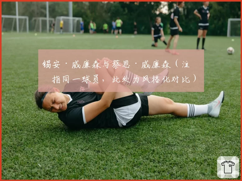 锡安·威廉森与蔡恩·威廉森(注:指同一球员,此处为风格化对比)的伤病史:天赋兑现路上的最大绊脚石是什么?