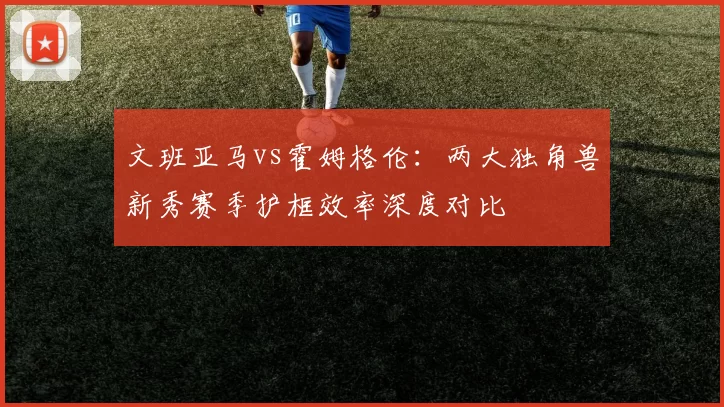 文班亚马vs霍姆格伦：两大独角兽新秀赛季护框效率深度对比