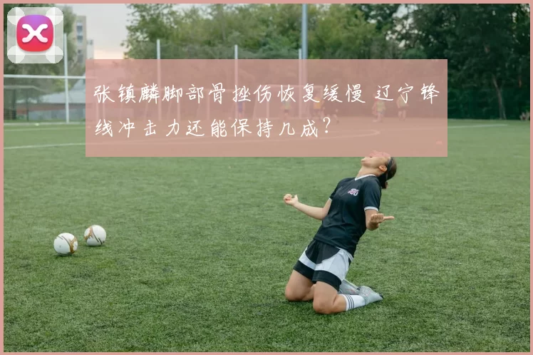 张镇麟脚部骨挫伤恢复缓慢 辽宁锋线冲击力还能保持几成?
