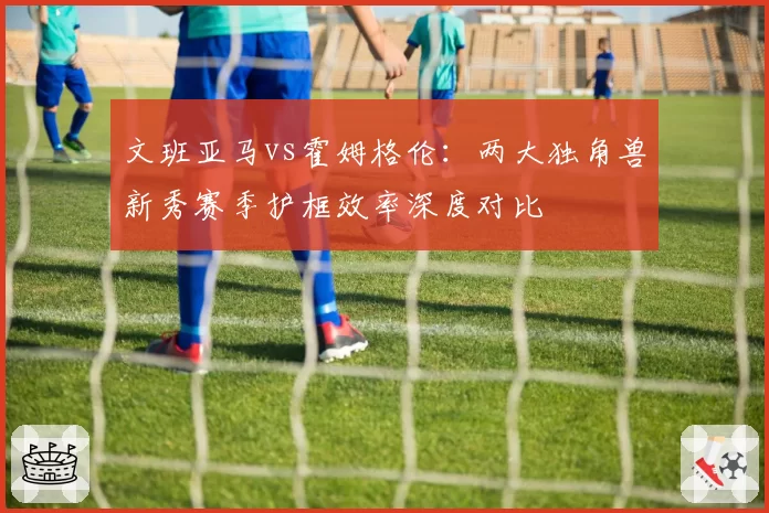 文班亚马vs霍姆格伦：两大独角兽新秀赛季护框效率深度对比
